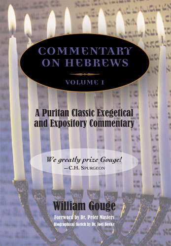 Commentary on Hebrews - 2 Volumes